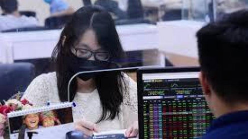 Thị trường ngày càng rủi ro, nhà đầu tư nên cơ cấu danh mục như thế nào?