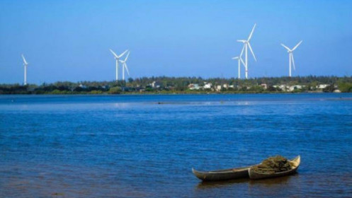HALCOM muốn bán 50 triệu cổ phiếu cho cổ đông, giá cao gấp đôi thị giá