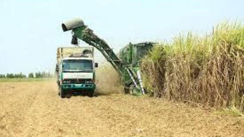 Phân tích cổ phiếu SBT và LCG
