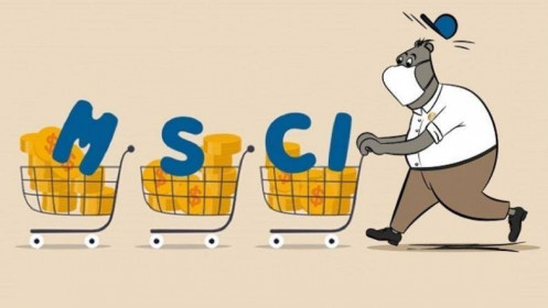 Việt Nam đang chiếm tỷ trọng bao nhiêu trong các rổ thị trường cận biên?