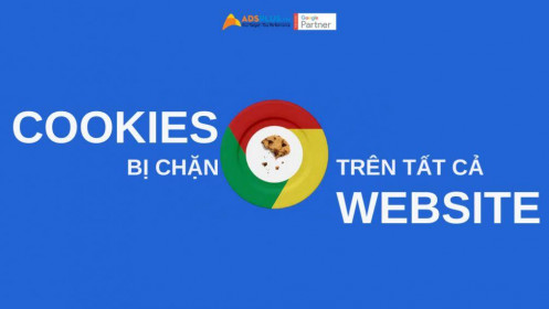 Google Ads Cookie sẽ bị chặn trên tất cả các Website