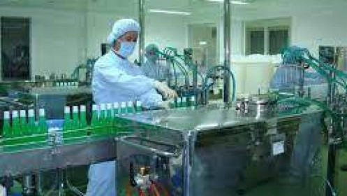 Pharmedic (PMC): Lợi nhuận bán niên đi ngang, hơn nửa tài sản là tiền gửi kỳ hạn 6 tháng