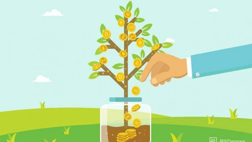 Nguyên tắc chọn và đầu tư cổ phiếu trong dài hạn