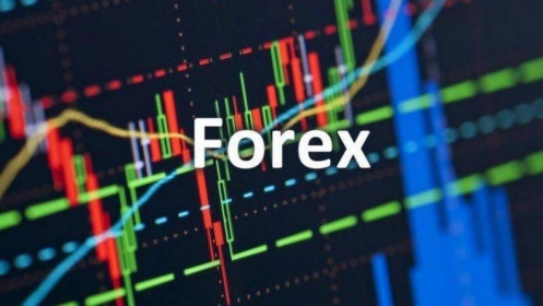 Xử lý sàn Forex “trá hình" lắm cạm bẫy, đầy sức hút