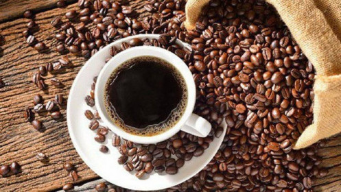 Bản tin cà phê 22/07: Nguyên nhân đà tăng của Cà phê là gì?