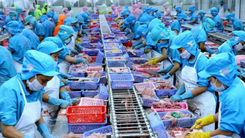 ANV: Chi phí vận chuyển 'leo thang' khiến lãi ròng quý 2 sụt giảm