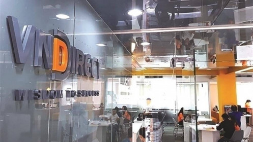 Khối tự doanh của VNDirect dồn lực vào ngành bảo hiểm và nhóm "Vin"