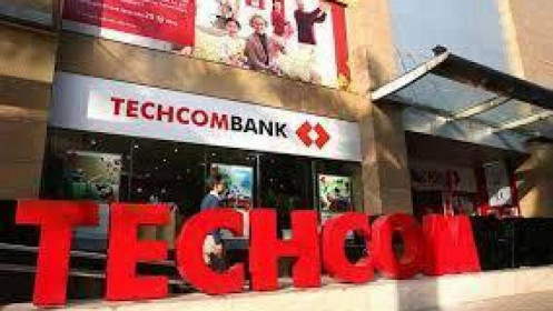Techcombank chưa có kế hoạch chia cổ tức trong năm 2021