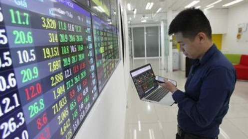 Chứng khoán lao dốc - Tín hiệu nào cho nhà đầu tư?