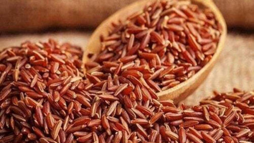 Gạo thô CBOT rớt giá do điều kiện mùa màng tốt