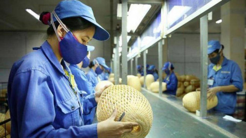 Kịch bản nào cho thị trường lao động TP.HCM nửa cuối năm?