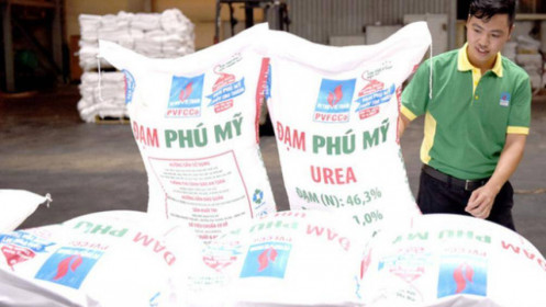 DPM báo lãi quý 2/2021 tăng 126%, tiền mặt dồi dào trên 2,600 tỷ đồng