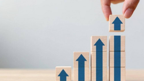 Vùng 1,200 - 1,250 của VN-Index là phù hợp để xuống tiền?