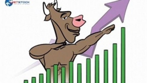 Nhịp đập Thị trường 29/07: Large Cap ngân hàng giúp index tăng điểm