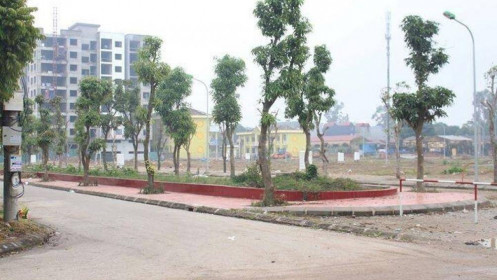 Điểm nóng đất nền: Từ đóng băng đến hồi sinh?