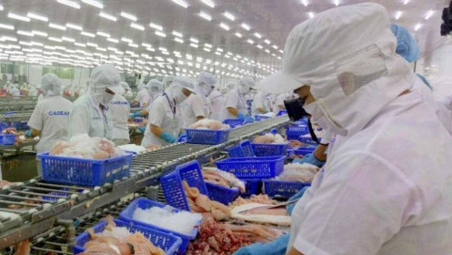 Thủy sản Việt Nam sẽ tổn thất khoảng 480 triệu USD/năm nếu mất thị trường EU