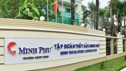MPC: Lãi ròng quý 2 tăng 28%, phải thu thuế chống bán giá hơn 336 tỷ đồng