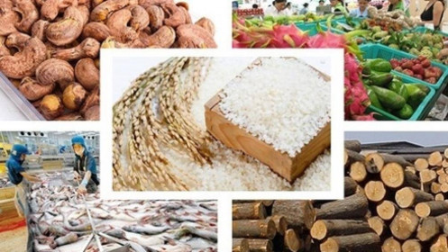 Thị trường hàng hóa 13/8: Nông sản bật tăng sau báo cáo