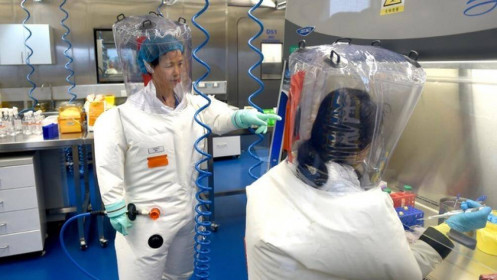 Truyền thông Trung Quốc dẫn lời nhà khoa học giả để chỉ trích Mỹ về Covid-19?
