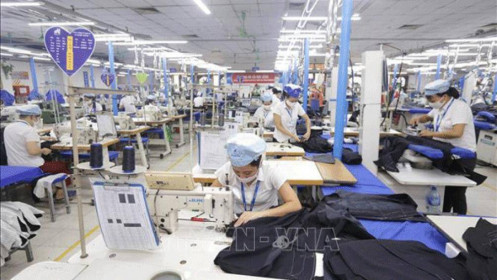 Giải ngân hơn 163 tỉ đồng để trả lương ngừng việc, trả lương phục hồi sản xuất