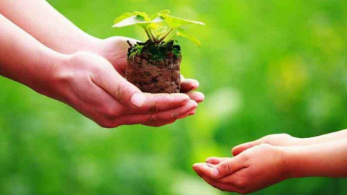 Học được cách tự quản lý bản thân để vận mệnh suôn sẻ, phúc đức dồi dào