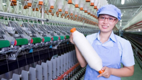Không có khả năng trả nợ ngân hàng, kiểm toán nghi ngờ khả năng hoạt động liên tục của FTM
