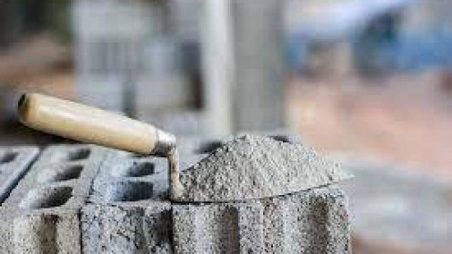 Cổ phiếu ngành xi măng đồng loạt dậy sóng trong nửa đầu tháng 8