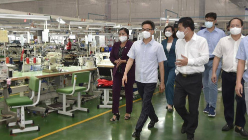 Ngành cao su linh hoạt thực hiện tốt mục tiêu kép