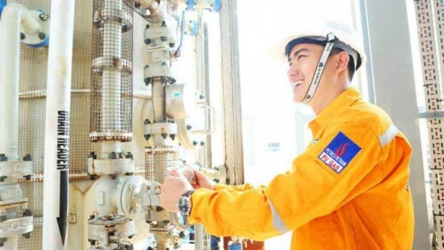 PGD chuẩn bị trả cổ tức bằng tiền tỷ lệ 20%