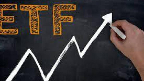 VNFin Lead ETF bất ngờ quay trở lại giải ngân trong 2 tuần đầu tháng 8