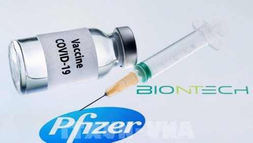 Số ca mắc mới Covid-19 cao kỷ lục, đẩy nhanh phê chuẩn đầy đủ vaccine Pfizer tại Mỹ