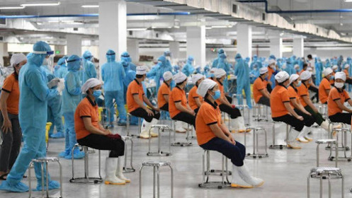 Gần 800 doanh nghiệp Bình Dương tạm dừng hoạt động