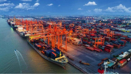 Cước vận tải biển tăng, kim ngạch xuất khẩu cũng tăng, liệu có nghịch lý?