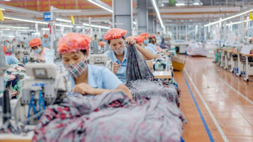 MSH: Tương lai tươi sáng đến từ nội lực công ty