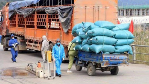 Bộ GTVT nêu đích danh 8 tỉnh ‘đẻ’ giấy phép con, làm khó lưu thông hàng hoá