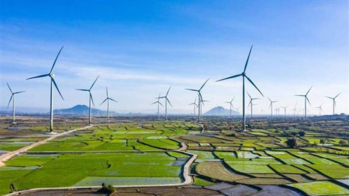 Quy hoạch điện VIII: Tăng điện than, gác điện gió