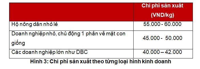 DBC: Lợi nhuận giảm trên mức nền cao, triển vọng dài hạn sáng