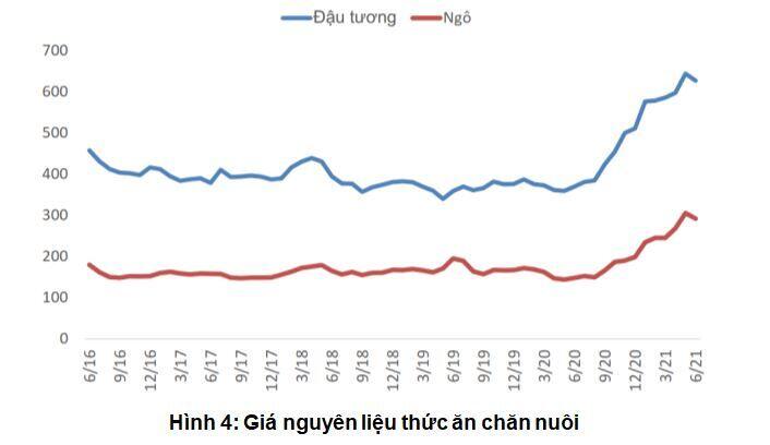 DBC: Lợi nhuận giảm trên mức nền cao, triển vọng dài hạn sáng