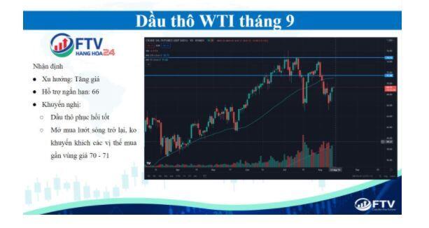 Thị trường hàng hóa 12/8: Thị trường tăng điểm