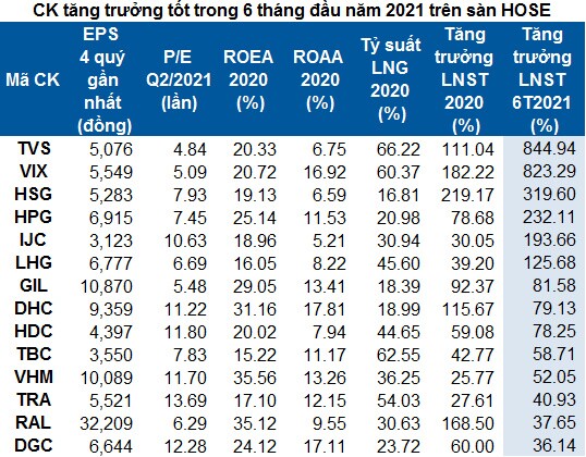 Lọc cổ phiếu cơ bản tăng trưởng tốt nửa đầu năm