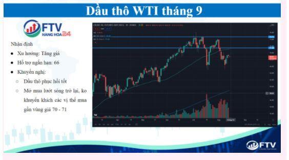 Thị trường hàng hóa 13/8: Nông sản bật tăng sau báo cáo