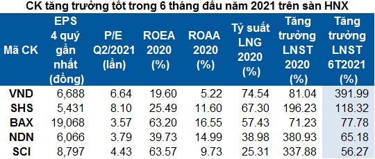 Lọc cổ phiếu cơ bản tăng trưởng tốt nửa đầu năm