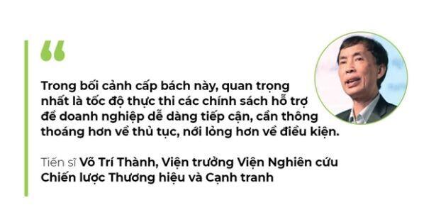 Quý III màu xám