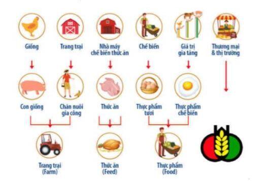 DBC – Doanh nghiệp tỷ đô tiên phong theo mô hình 3F
