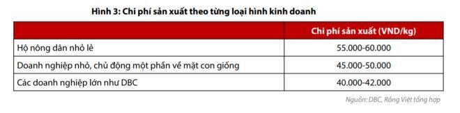 DBC – Doanh nghiệp tỷ đô tiên phong theo mô hình 3F