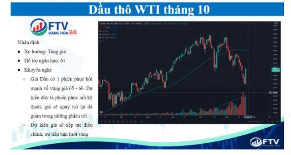 Thị trường hàng hóa 24/8: Dầu thô phục hồi mạnh mẽ