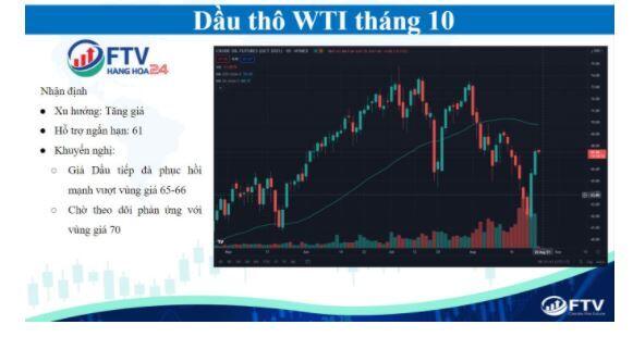 Thị trường hàng hóa 25/8: Thị trường bật tăng