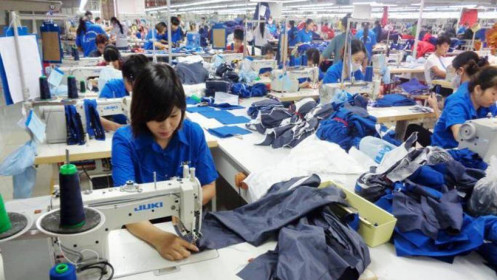 Tỷ giá đô đẩy doanh nghiệp xuất khẩu hàng hóa đắt đỏ