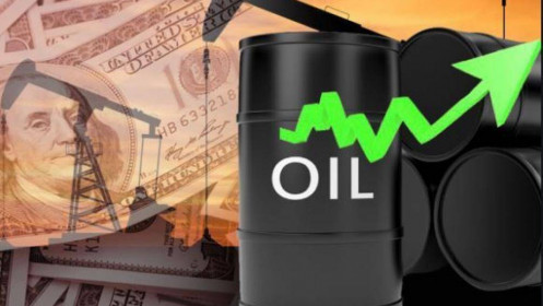 Bản tin Dầu WTI 19/10: Giá dầu tăng trở lại do lo ngại nhu cầu năng lượng