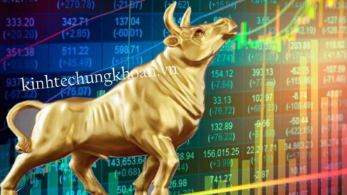 Index lên đỉnh, bờ vẫn còn xa quá !